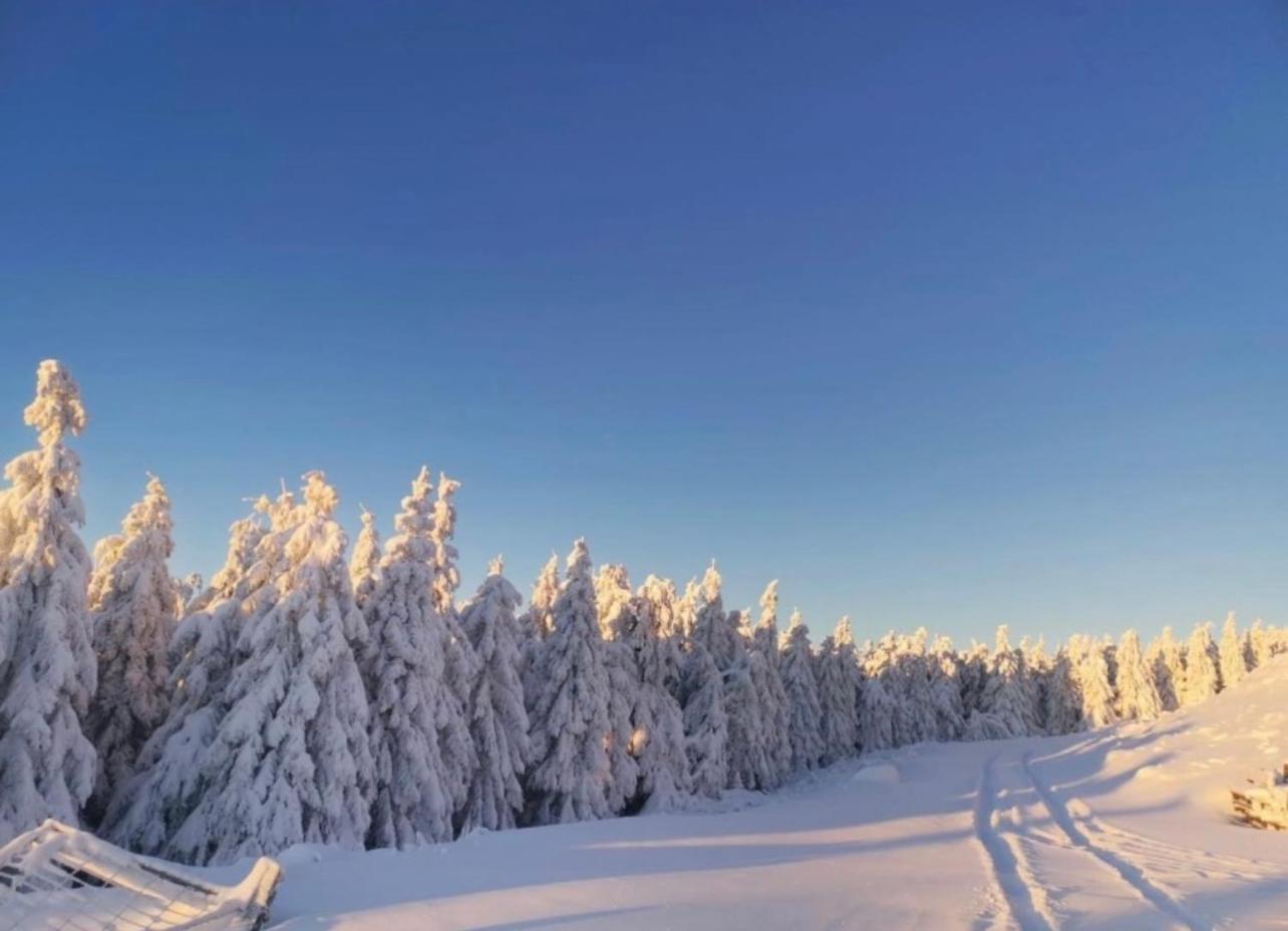 Ferienwohnung Tannhaeuser Braunlage Exteriér fotografie