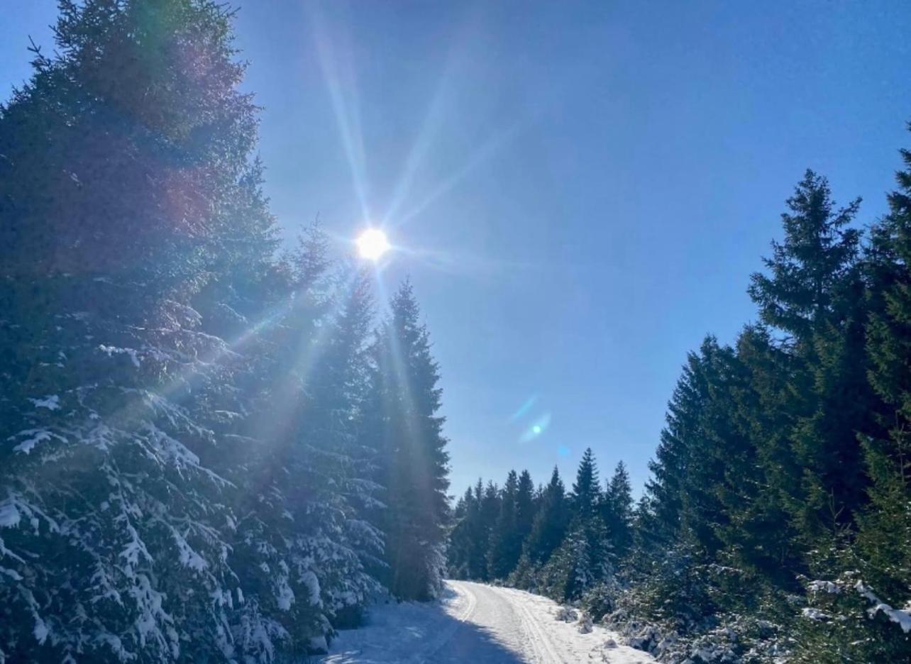 Ferienwohnung Tannhaeuser Braunlage Exteriér fotografie